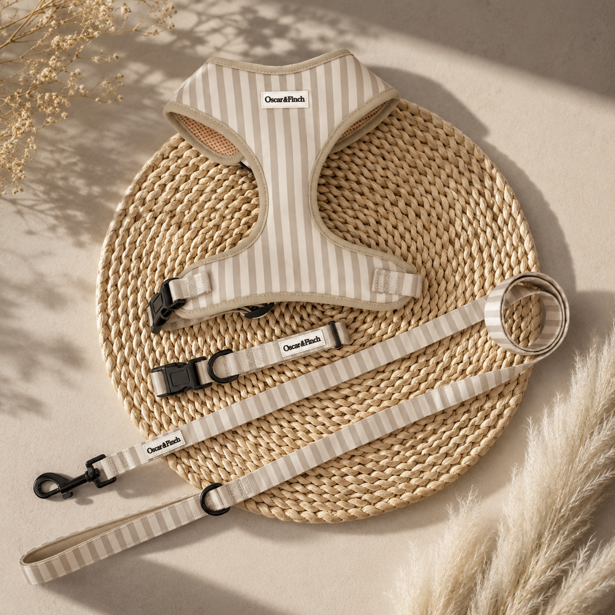Signature Stripe Collection